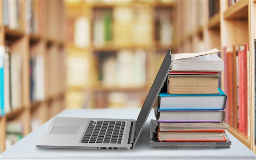 Egypt Education Platform eyes 25% stake offering on EGX in November
